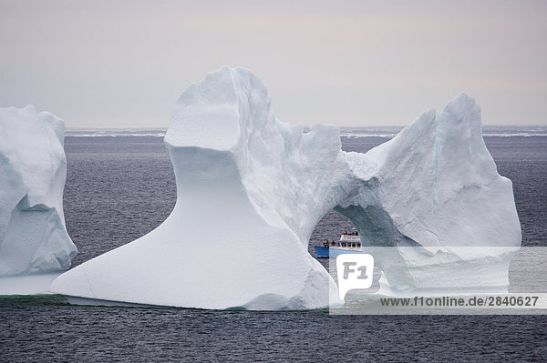 Eisberg sehen Entdeckung Ozean Gasse Stadt Tagesausflug Boot Ignoranz Reise zeigen Atlantischer Ozean Atlantik groß großes großer große großen flach Kanada Aussichtspunkt Nordland