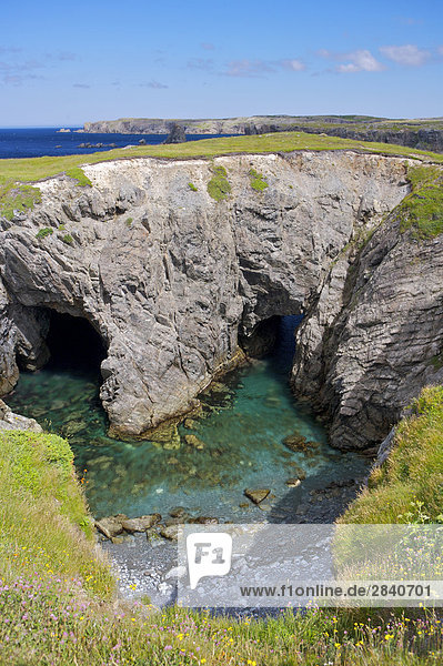 Meer Brücke Höhle Ländliches Motiv ländliche Motive Kanada Cape Bonavista