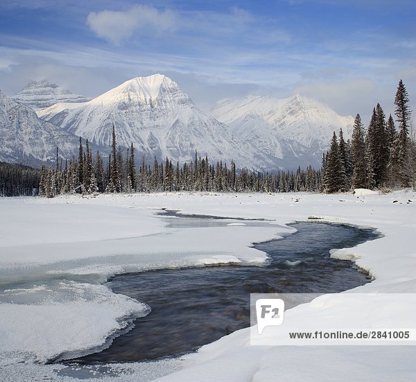 Mount Fryatt and the Athabasca River Jasper National Park Alberta  Canada.