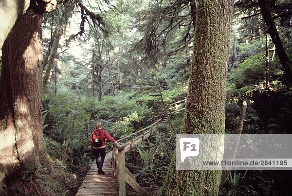 20 year old Young woman walking on the boardwalk through the forest towards the beach  Schooner Bay  Vancouver Island  British Columbia   Canada.