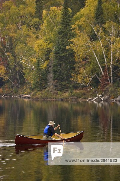 Älterer Mann Kanu am Oxtongue See im Herbst  Mukoka  Ontario  Kanada.