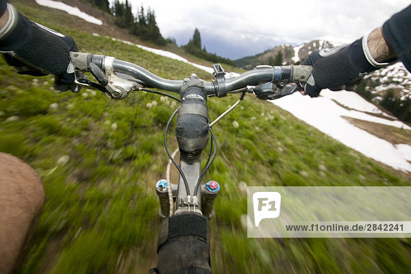 Single-Trail  Mountainbiken in den südlichen Chilcotin Bergen. British Columbia  Kanada