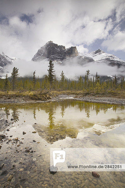 Michael Peak from the Emerald Lake Loop Trail  Yoho National Park  British Columbia  Canada