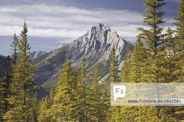 Mt. Lorette  Kananaskis Country  Alberta  Canada