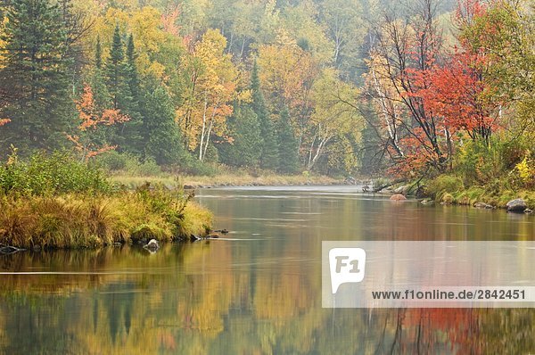 Autumn Reflections in Junction Creek. Naughton  Ontario  Kanada.