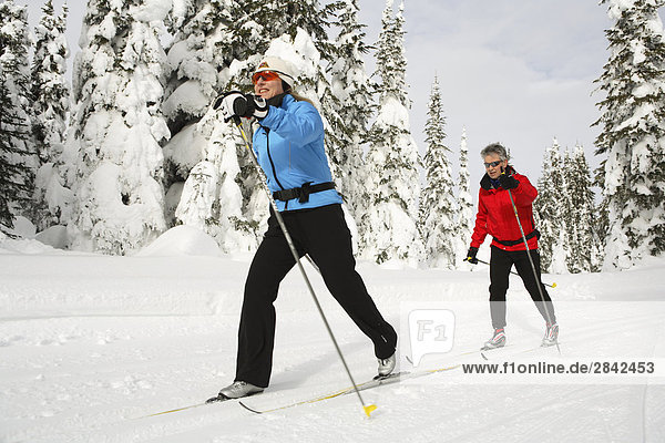 benutzen  überqueren  Technik  Skisport  Klassisches Konzert  Klassik  Skiabfahrt  Abfahrt  British Columbia  Kanada  Kreuz  Vernon