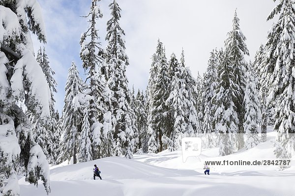 Schneeschuhläufer auf Berge am Mount Seymour Provincial Park in North Vancouver British Columbia Kanada