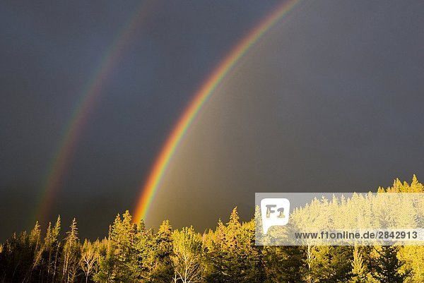 A double rainbow during a storm in Banff National Parknear Banff Alberta  Canada.