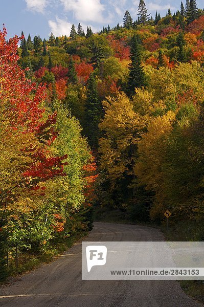 Herbst Farben entlang Highway 2 durch Parc national du Mont Tremblant  Provincial Park von Quebec  Laurentides  Québec  Kanada.