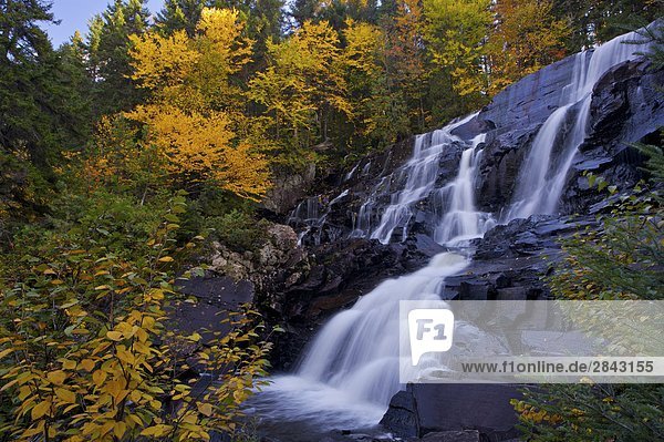 Rutschen Aux Ratten  Wasserfall  umgeben von Herbst Farben Parc national du Mont Tremblant  Provincial Park von Quebec  Laurentides  Québec  Kanada.