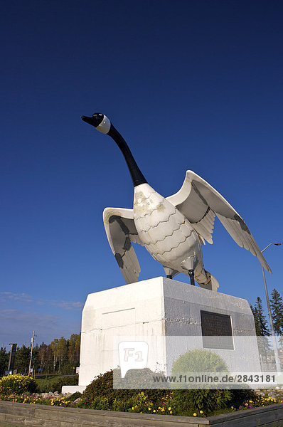 Statue von Gänse bernache Kanada im Informationszentrum in der Stadt von Wawa  Ontario  Kanada.