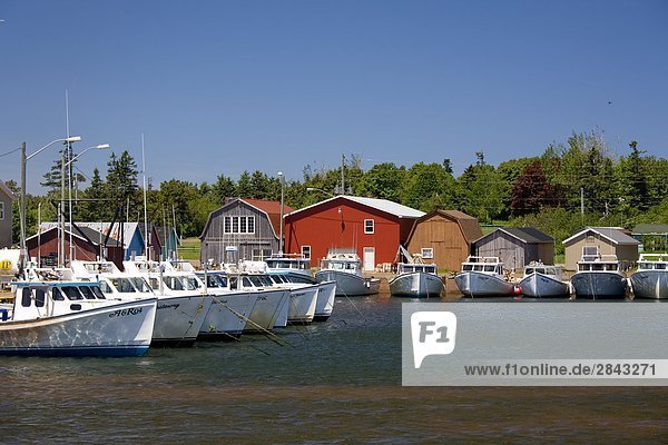 Boote in North Rustico Hafen  Prince Edward Island  Kanada