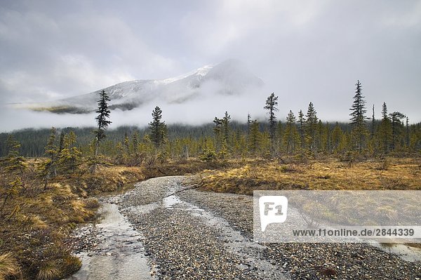 Michael Peak from the Emerald Lake Loop Trail  Yoho National Park  British Columbia  Canada