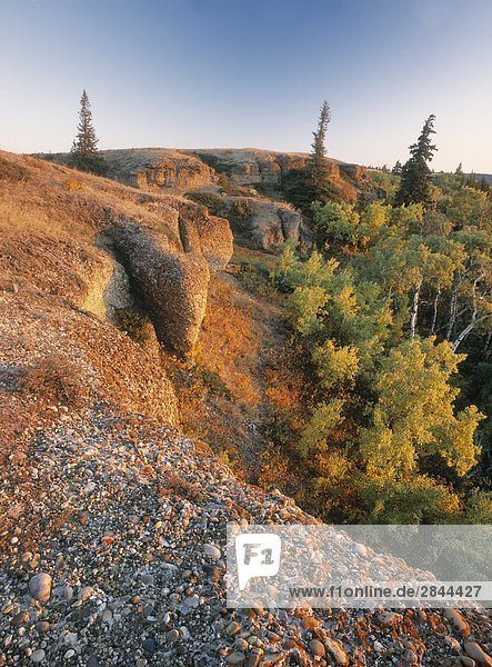 The Conglomerate Cliffs  Cypress Hills Interprovincial Park  Saskatchewan  Canada