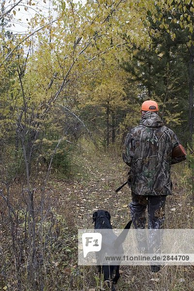Man and dog hunting together in British Columbia  Canada