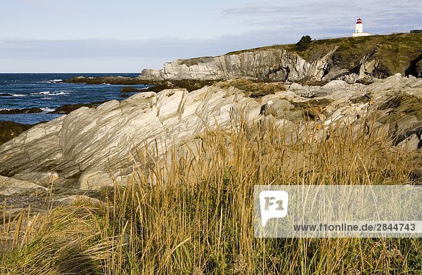 Leuchtturm  Cape St. Mary's Ecological Reserve  Nova Scotia  Kanada
