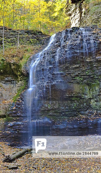 Tiffany Falls  Bruce Trail  Niagara-Schichtstufe  Hamilton  Ontario  Kanada