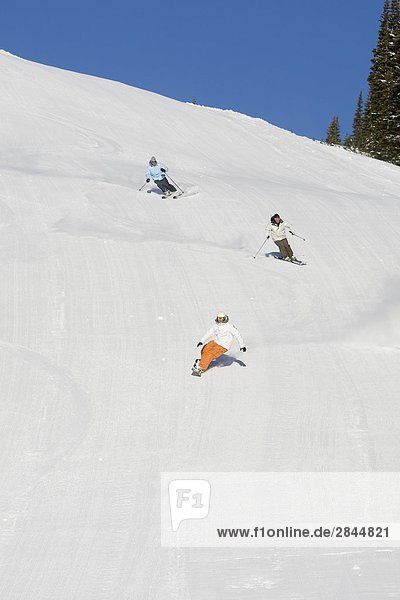 Three skiers on slope  Whistler  British Columbia  Canada