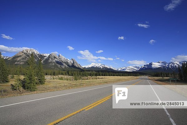 David Thompson Highway (Highway 11) zwischen Saskatchewan Kreuzung und Rotwild auf den Kootenay Plains  Alberta  Kanada