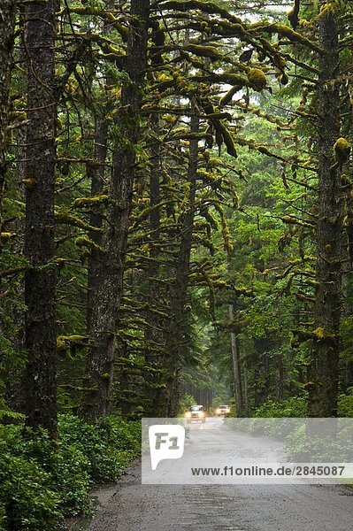 Car on the road to Tow Hill  Naikoon Provincial Park  Queen Charlotte Islands  British Columbia  Canada