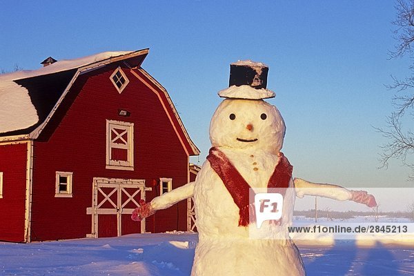 Snowman in front of red barn near Oakbank  Manitoba  Canada