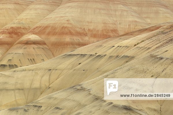 The Painted Hills at the John Day Fossil Beds National Monument  Oregon  USA