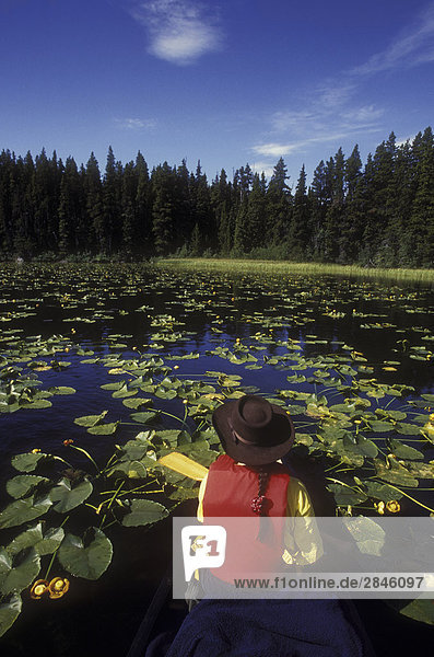 Lodge Landhaus Urlaub Kanu Teamwork 10 British Columbia Kanada Lilie