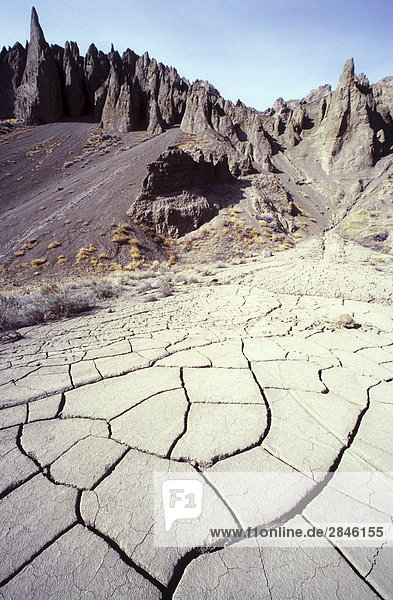 Dried mud patterns and hoodoos along the Chilcotin River  Chilcotin region  British Columbia  Canada.
