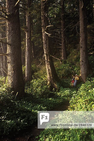 Wanderer in alten Waldbestands  West Coast Trail.  Pacific Rim National Park  Vancouver Island  British Columbia  Kanada.