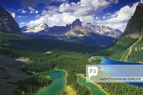 Vistas of forests and lakes  Opabin Plateau  Yoho National Park  British Columbia  Canada.