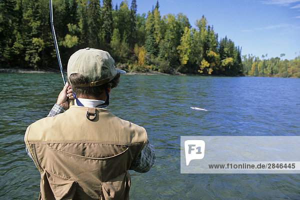 Lady Angler spielen Steelhead  Bulkley River  British Columbia  Kanada.