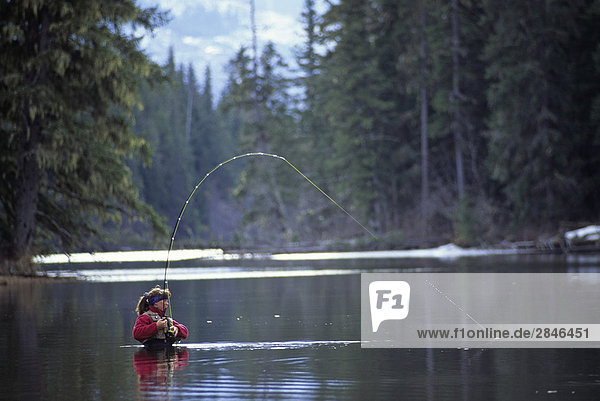 Lady flyfisher playing steelhead  Lakelse river  Terrace  British Columbia  Canada.