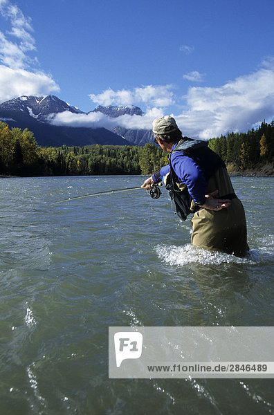 Flyfishing  Bulkley river  Smithers  British Columbia  Canada.