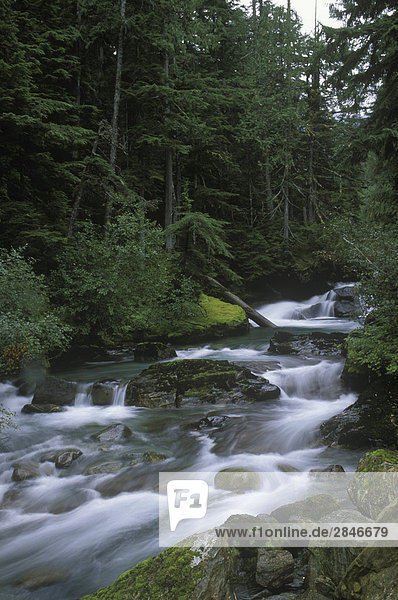 Tin Cup Creek fließt in das Quellgebiet des Flusses Nehatlatch in die Coast Ranges der südlichen  British Columbia  Kanada.