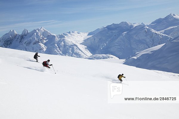 Skifahren der Coast Mountains  British Columbia  Kanada.