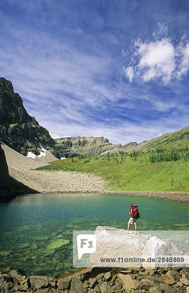 Hiker along the BC-Alberta border  border of Kootenay and Banff National Parks  British Columbia  Canada.
