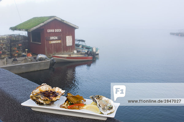 zeigen Ufer Teller Tofino British Columbia British Columbia Kanada Gourmet Auster Vancouver Island