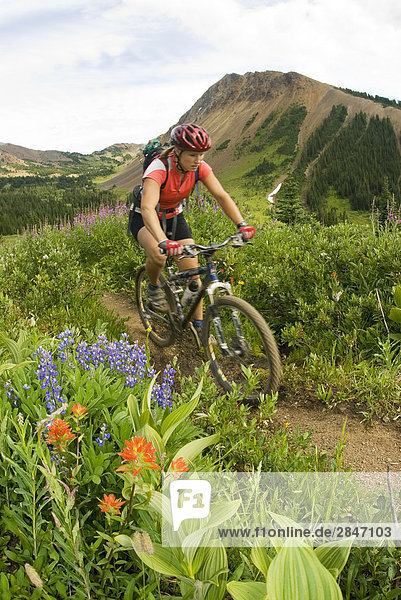 Mountain biker rides up from Eldorado Basin towards Windy Pass  Southern Chilcotin Mountains  British Columbia  Canada.
