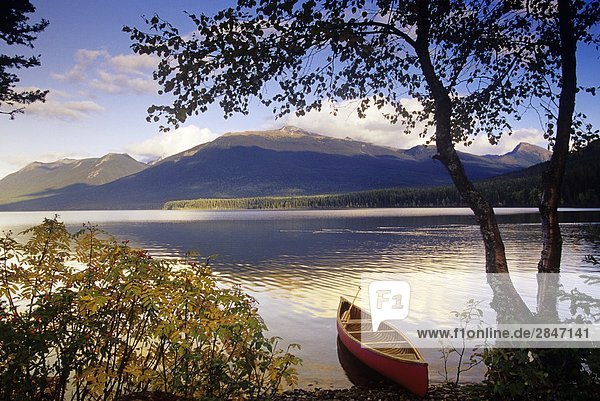 Kanu am Ufer  Bowron Lake Provincial Park  British Columbia  Kanada.