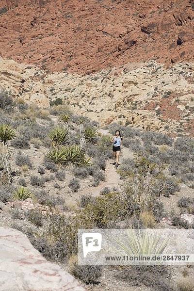 Eine junge Frau ausgeführt auf einem Pfad von Kraft Berg  Red Rocks  Las Vegas  Nevada  Vereinigte Staaten