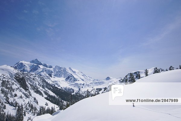 A lone snowshoer on a sunny spring day at Mount Baker with Mount Shuksan in the distance  Snoqualmie National Forest  Washington  USA