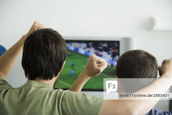 Zwei Männer beim Sport im Fernsehen  Fäuste in die Luft gehoben  Rückansicht