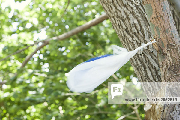 Plastiktüte am Baum gefangen