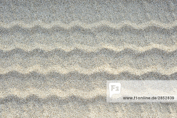 Reifenspuren auf Sand  Nahaufnahme