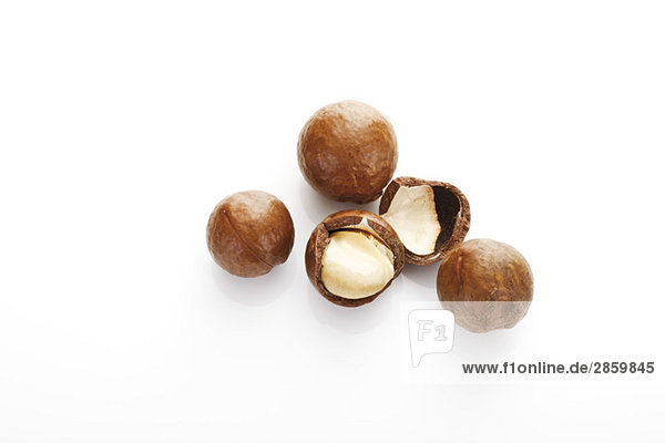 Macadamia nuts elevated view