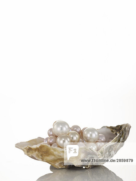 Perlen auf Austernschale
