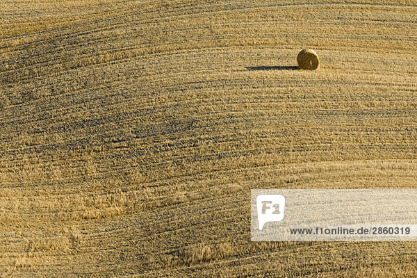Italien,  Toskana,  Einzelballen Stroh auf geernteten Maisfeldern