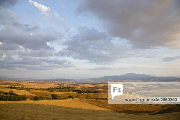 Italien  Toskana  Erntefelder und Blick auf den Monte Amiata