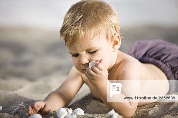 Junge spielt mit Muscheln im Sand