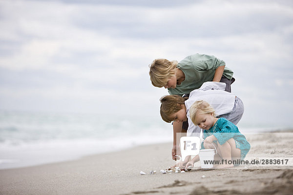 Girl and boys playing with shells on the beach